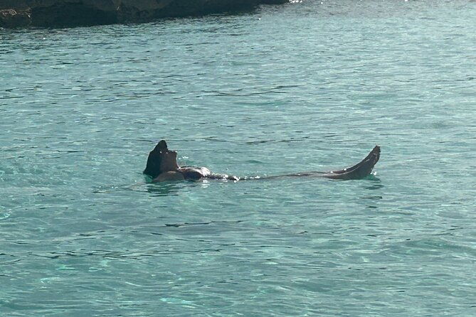 private-full-day-cruise-tour-in-rose-island-with-snorkeling