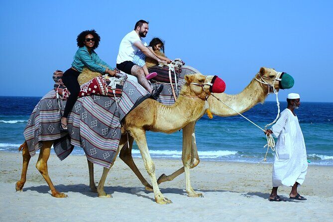 Private Full Day Desert Safari - Final Thoughts: Who Will Love This Tour?