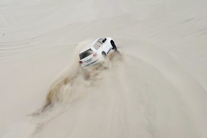 Private Full Day Desert Safari Dinner and Camel Ride in Doha - An In-Depth Look at the Full-Day Desert Safari Experience