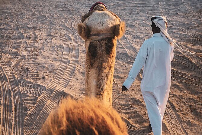 Private Full Day Desert Safari Dinner and Camel Ride in Doha - Final Thoughts