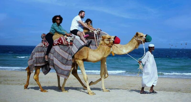Private Full-Day Desert Tour - Final Thoughts: Is It Worth It?  