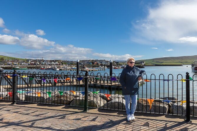private-full-day-dingle-peninsula-slea-head-drive-tour