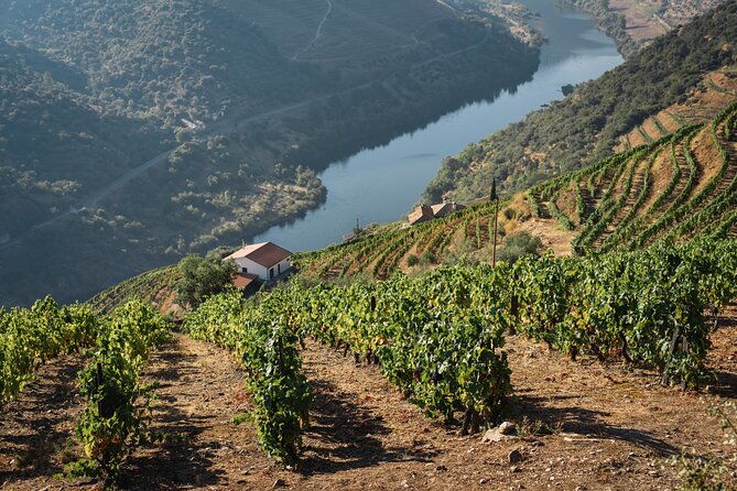 private-full-day-douro-tour-with-lunch