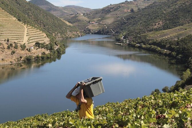 private-full-day-douro-tour-with-lunch