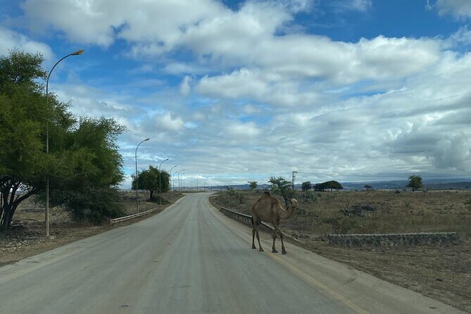Private Full-Day East Oman Tour from Salalah with Lunch - FAQs