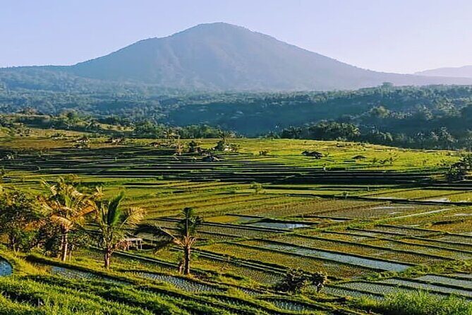 Private Full Day Enjoy Bedugul and Jatiluwih Rice Terrace - Final thoughts on this Bali highlands tour