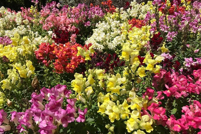 private-full-day-girona-got-and-costa-brava-tour