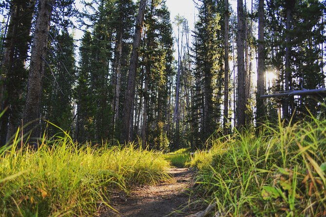 private-full-day-grand-canyon-of-yellowstone-hiking-adventure-up-to-8-people