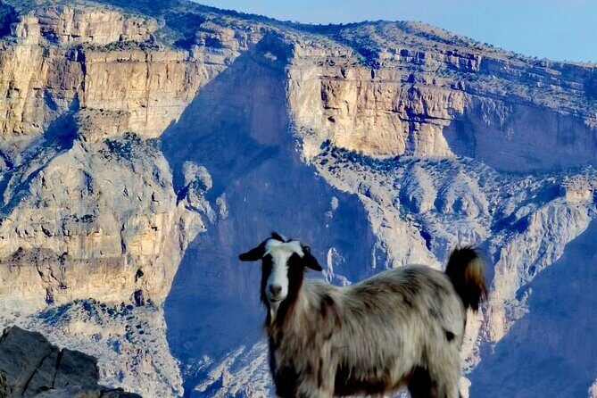 Private Full Day Guided Balcony Walk Hiking to Jebel Shams - Final Thoughts: Is This Tour Right for You?