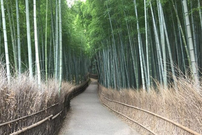 private-full-day-guided-tour-in-kyoto-arashiyama