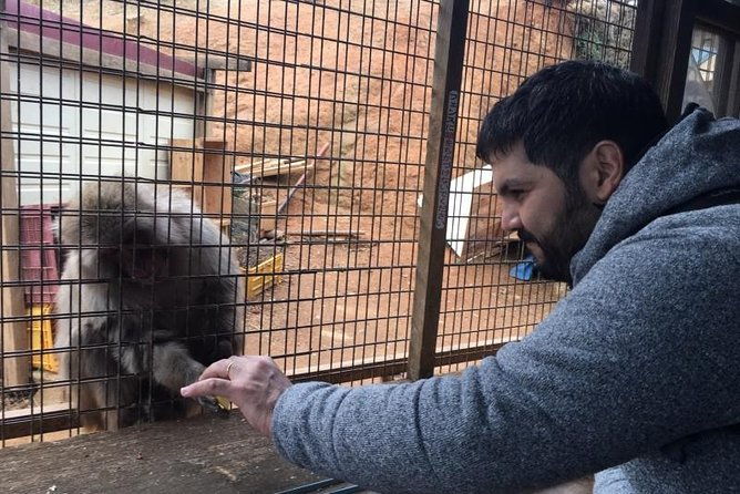 private-full-day-guided-tour-in-kyoto-arashiyama