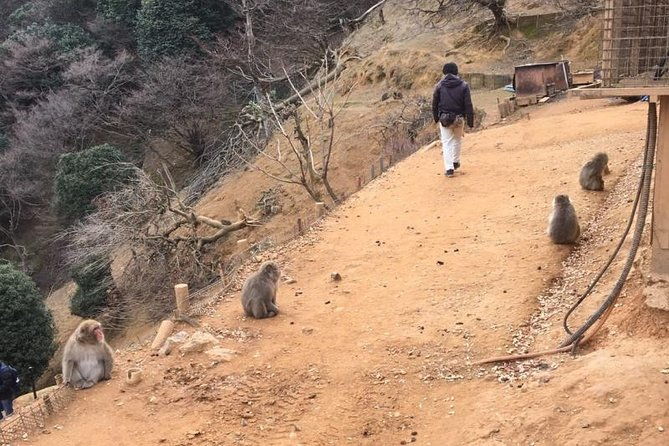 private-full-day-guided-tour-in-kyoto-arashiyama