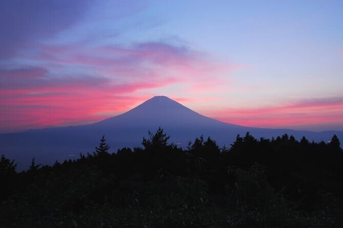 Private Full-Day Guided Tour in Mount Fuji Lakes - A Deep Dive Into the Experience