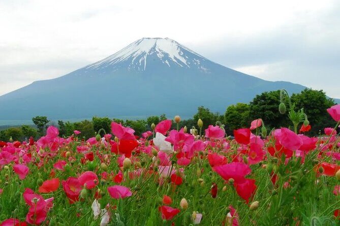 Private Full-Day Guided Tour in Mount Fuji Lakes - The Sum Up: Is It Worth It?