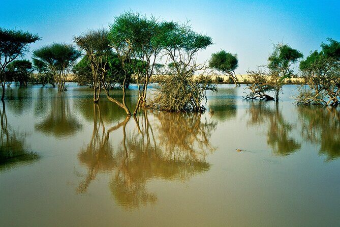 Private Full Day Guided Tour in Qatar North and West - Transportation, Timing, and Comfort
