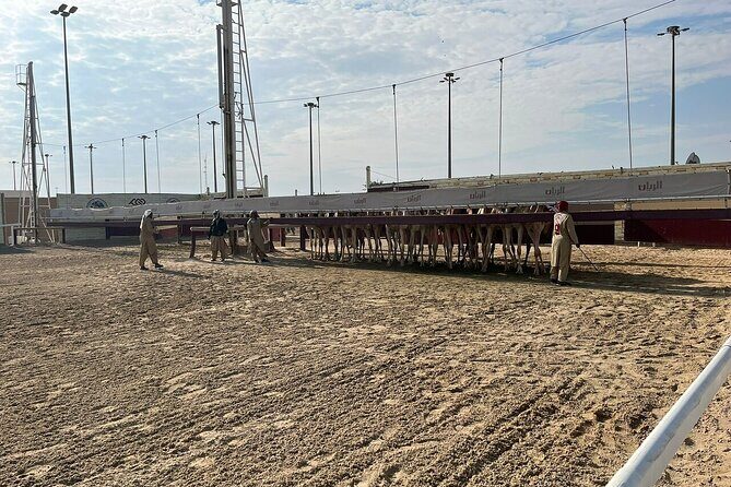 Private Full Day Guided Tour in Qatar North and West - Final Thoughts