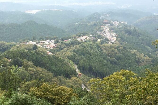 private-full-day-guided-tour-in-yoshino-japanese-mountain