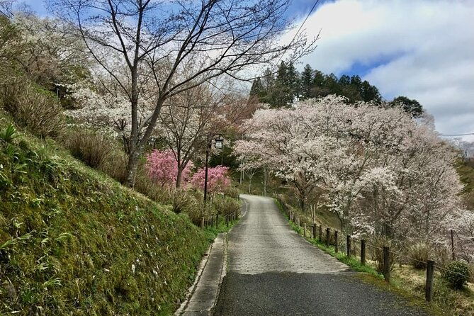 private-full-day-guided-tour-in-yoshino-japanese-mountain