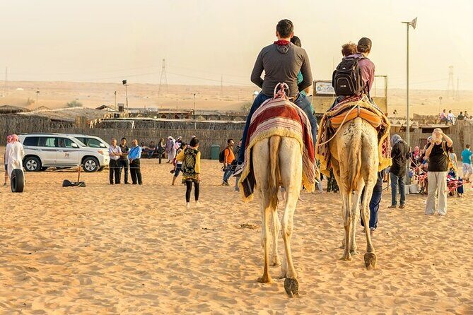 Private Full Day Guided West of Qatar Tour and Desert Safari - Key Points