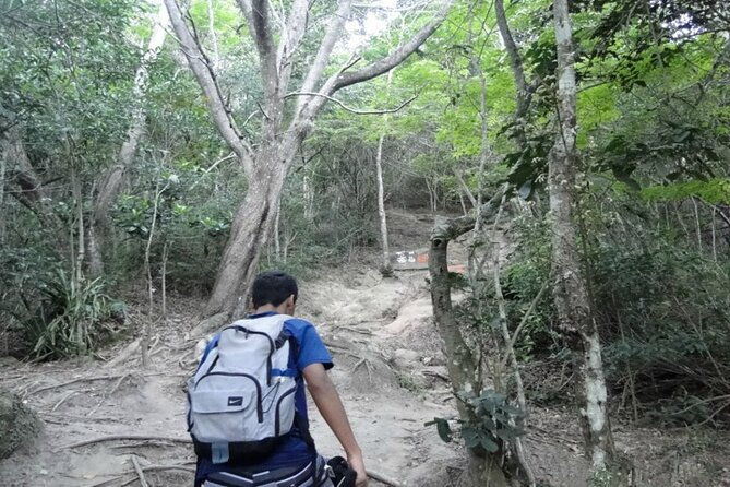private-full-day-hike-tour-telegraph-stone-and-beaches-transport-included