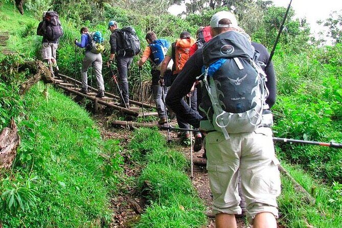 Private Full Day Hiking Experience to Marangu Route - FAQs