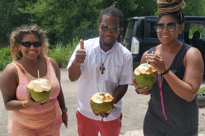 private-full-day-holland-bamboo-and-rum-experience-in-jamaica