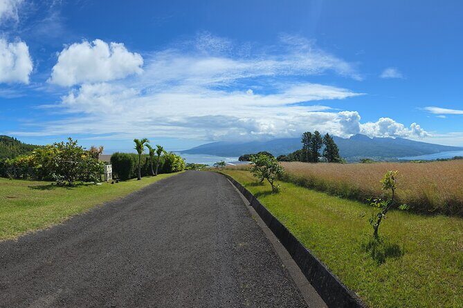 Private Full Day in Papeete and Tahiti Iti with Belveder Lookout - What to Expect: Practicalities & Value