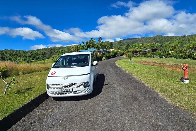 Private Full Day in Papeete and Tahiti Iti with Belveder Lookout - Who Should Book This Tour?