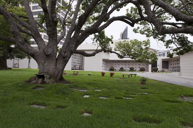 private-full-day-los-angeles-tour-with-a-historian-and-naturalist