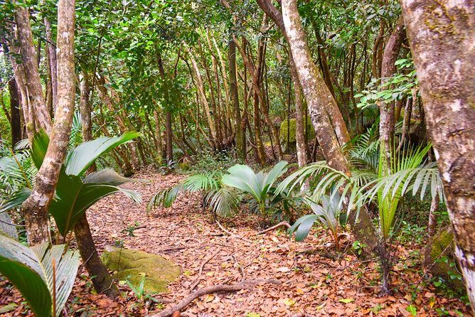 Private Full day Mahé island tour (1-2 persons) - Final Thoughts: Who is this tour best for?