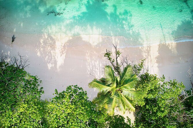 Private full day Mahe island tour 8-10 persons - Exploring Mahe: A Complete Guide to the Private Full-Day Tour