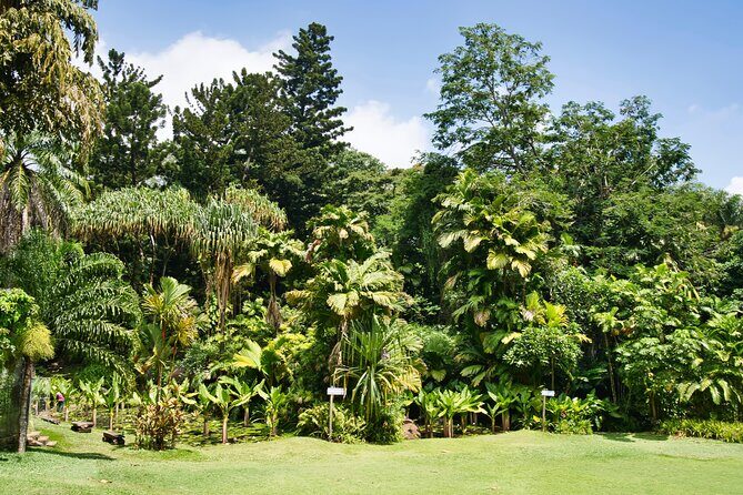 Private full day Mahe island tour 8-10 persons - Key Points