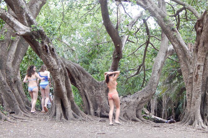 Private Full-Day Materuni Waterfall, Coffee and Hot-spring Tour in Moshi - Transportation and Timing