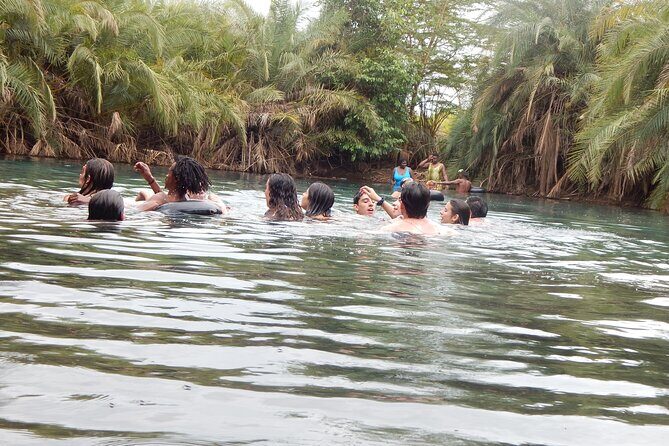 Private Full-Day Materuni Waterfall, Coffee and Hot-spring Tour in Moshi - The Sum Up