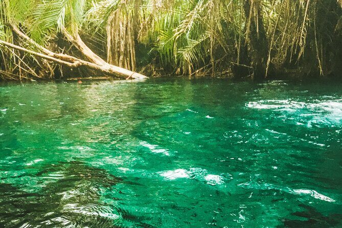 Private Full-Day Materuni Waterfalls and Kikuletwa Hotspring - Exploring Tanzania’s Hidden Gems: Materuni Waterfalls and Kikuletwa Hotspring Tour
