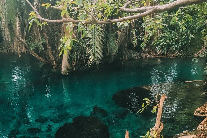 Private Full-Day Materuni Waterfalls and Kikuletwa Hotspring - The Practical Side: What to Expect