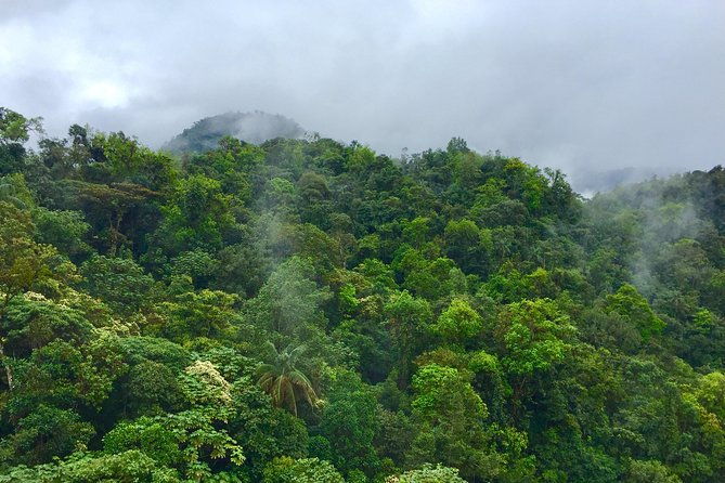 private-full-day-mindo-tour-from-quito
