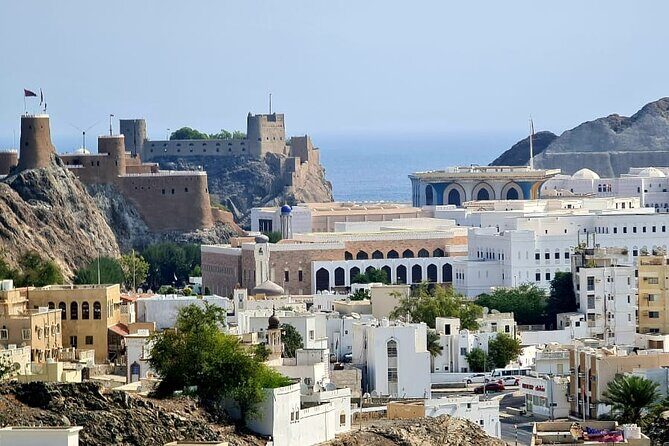 Private Full Day Muscat City Tour - Who Would Love This Tour?