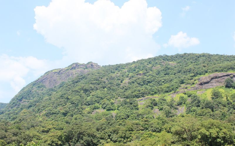 Private Full day Nandi Hill Excursion with Lunch - What makes this tour stand out?