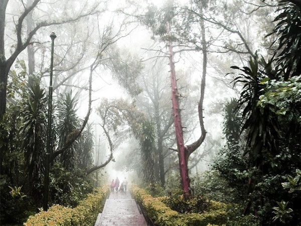Private Full day Nandi Hill Excursion with Lunch - Visiting Tipus Drop and nearby temples