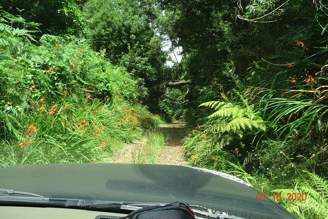 private-full-day-off-road-tour-in-madeira