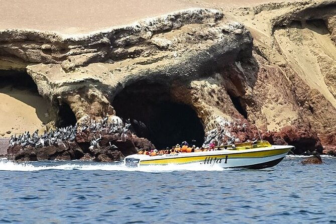 private-full-day-paracas-reserve-and-ballestas-islands-from-lima