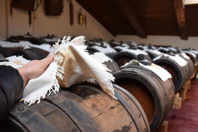 private-full-day-parma-food-tour-parmesan-cheese-parma-ham-lunch-vinegar