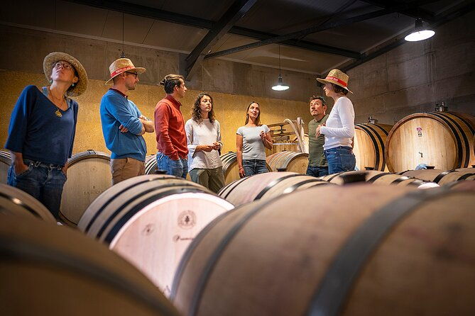 private-full-day-pic-saint-loup-wine-and-olive-tour-with-lunch-from-montpellier-2
