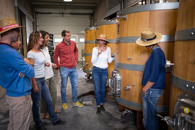 private-full-day-pic-saint-loup-wine-and-olive-tour-with-lunch-from-montpellier