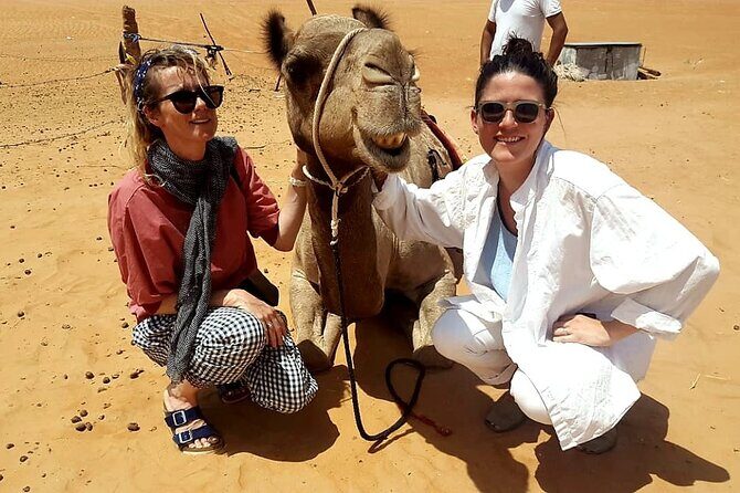 Private Full Day Private Desert Safari Tour - What to Expect from the Itinerary