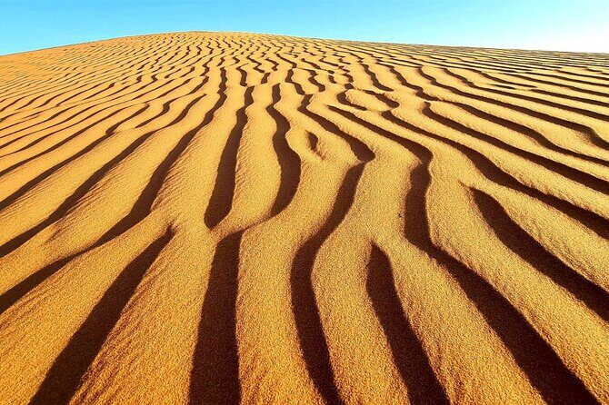 Private Full Day Private Desert Safari Tour - Final Words: Who Will Love This Tour?