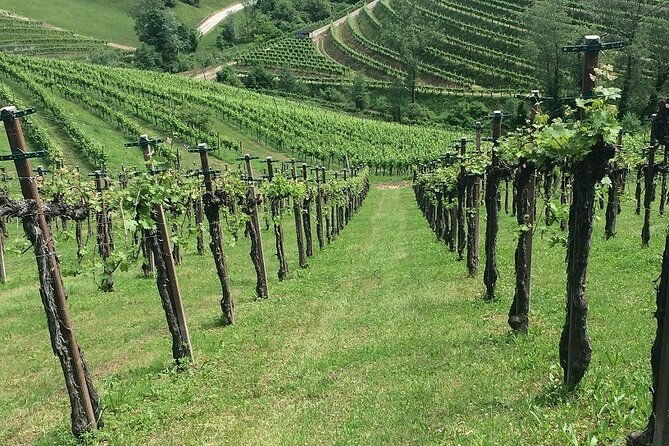 private-full-day-prosecco-wine-tour-from-venice