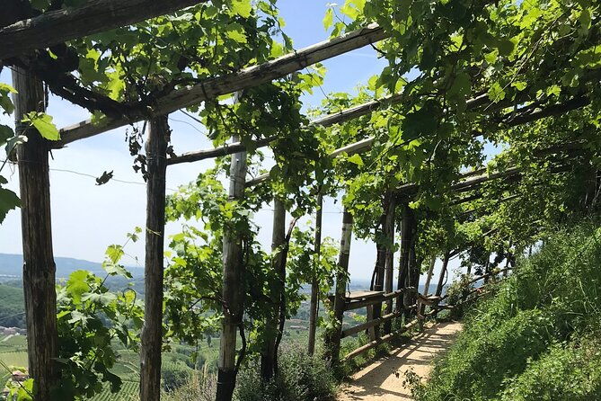 private-full-day-prosecco-wine-tour-from-venice