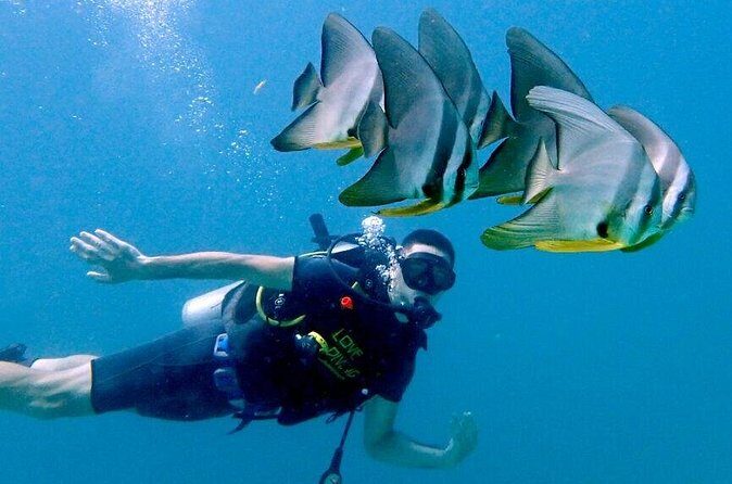 Private Full Day Racha Yai Scuba Diving Course from Phuket - Who Is This Tour Best For?